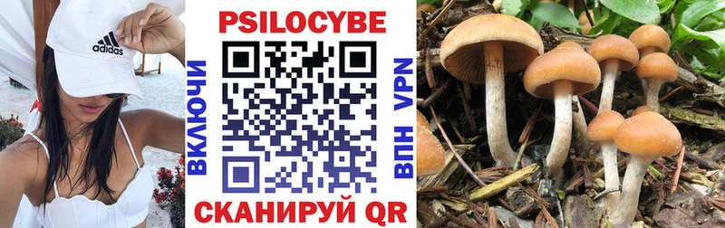 Псилоцибиновые грибы Psilocybe Агрыз